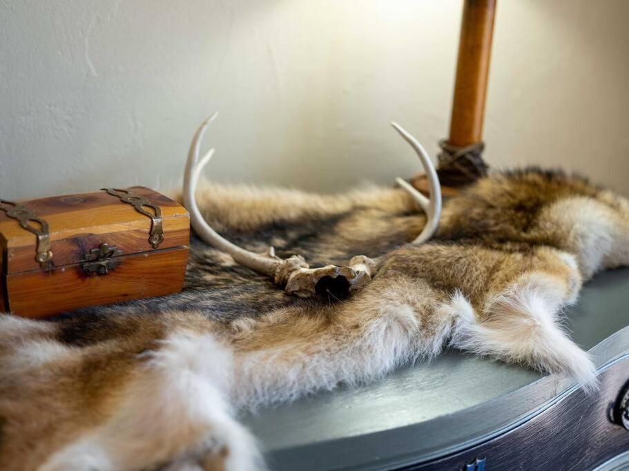 Stonegate Lodge Bear'S Den Kitchen, Pool, Firepit, Wifi ,Smart Tvs Eureka Springs Eksteriør bilde