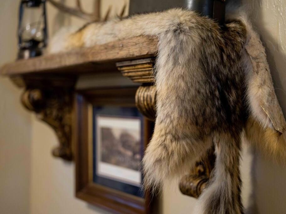 Stonegate Lodge Bear'S Den Kitchen, Pool, Firepit, Wifi ,Smart Tvs Eureka Springs Eksteriør bilde
